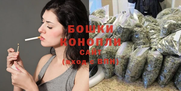 молекула духа Протвино