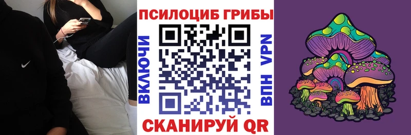купить  цена  Кремёнки  Галлюциногенные грибы мицелий 
